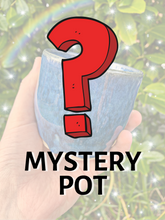 Load image into Gallery viewer, MYSTERY POT