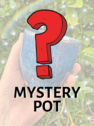 MYSTERY POT